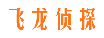 杜尔伯特侦探公司